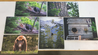 Canvas Prints Custom Signs Canvas Prints Custom Signs